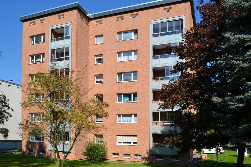Клинкерная плитка Roben Manus Samoa, рельефная, NF14, 240*14*71 мм
